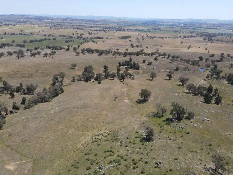 Seventh view of Homely rural property listing, 250 Emu Creek Road, Canowindra NSW 2804