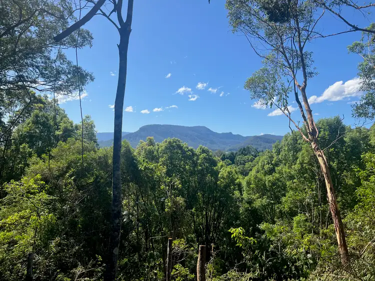 Main view of Homely land listing, LOT 8, 345 Tuntable Falls Road, Nimbin NSW 2480
