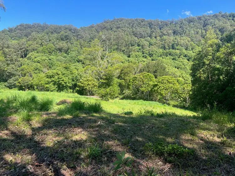 Second view of Homely land listing, LOT 8, 345 Tuntable Falls Road, Nimbin NSW 2480