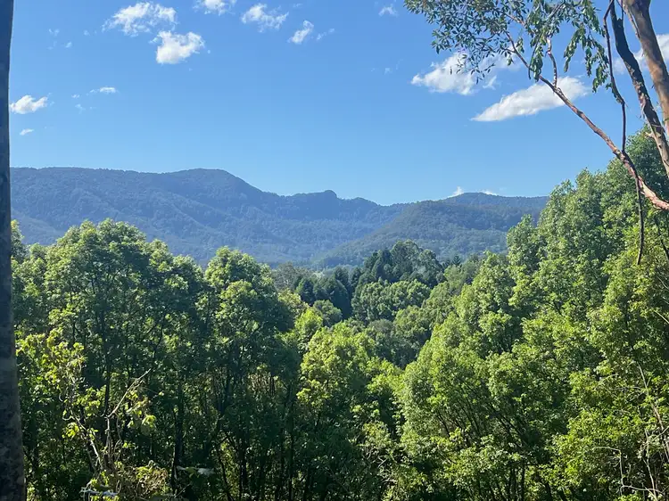 Third view of Homely land listing, LOT 8, 345 Tuntable Falls Road, Nimbin NSW 2480