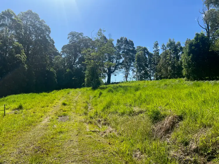Fourth view of Homely land listing, LOT 8, 345 Tuntable Falls Road, Nimbin NSW 2480