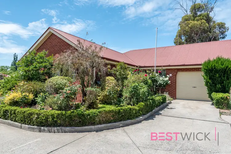 56 Morrisset Street