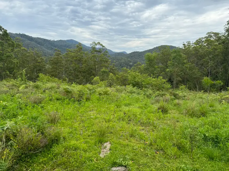 Third view of Homely land listing, 3460 Nowendoc Road, Caffreys Flat NSW 2424