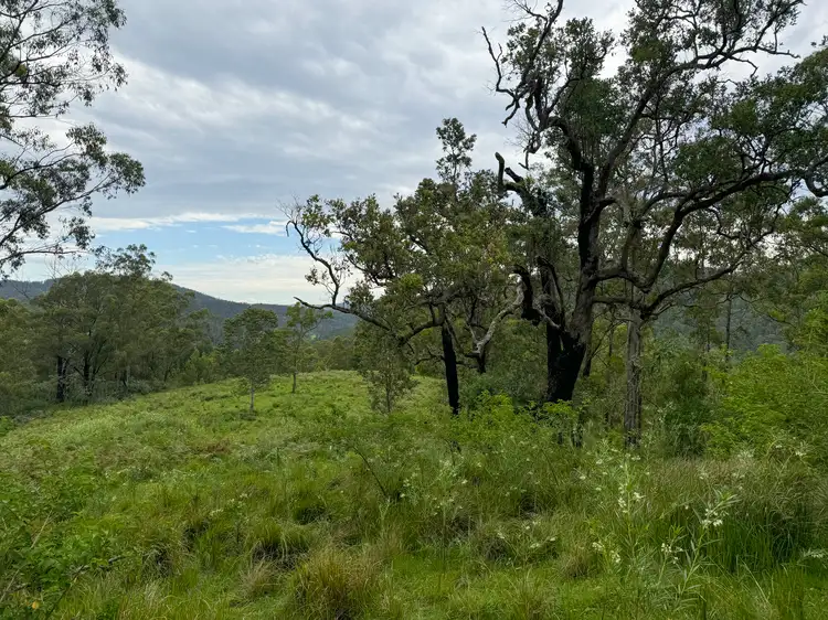 Fourth view of Homely land listing, 3460 Nowendoc Road, Caffreys Flat NSW 2424