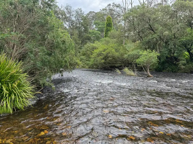 Sixth view of Homely land listing, 3460 Nowendoc Road, Caffreys Flat NSW 2424