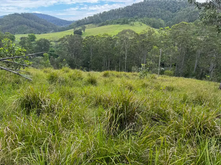 Seventh view of Homely land listing, 3460 Nowendoc Road, Caffreys Flat NSW 2424