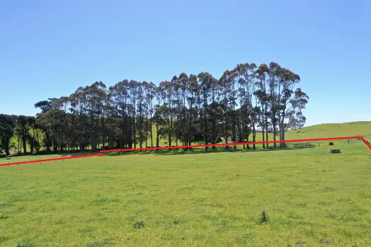 31 Johns Hill Road, Irishtown TAS 7330