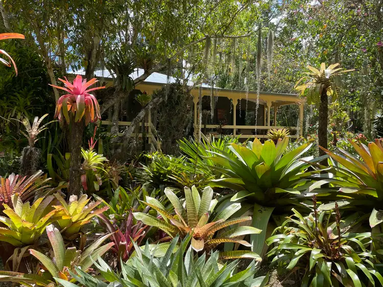 447 Terania Creek Road, Terania Creek NSW 2480