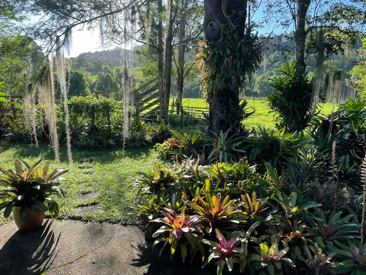 Fourth view of Homely rural property listing, 447 Terania Creek Road, Terania Creek NSW 2480