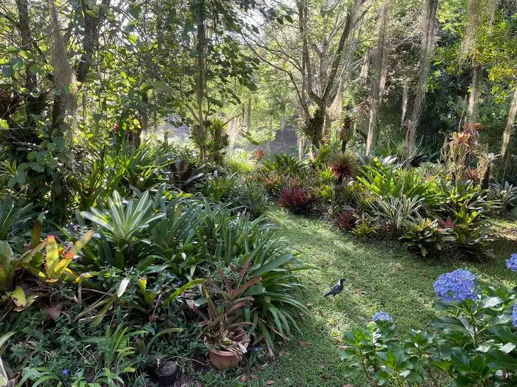 Fifth view of Homely rural property listing, 447 Terania Creek Road, Terania Creek NSW 2480