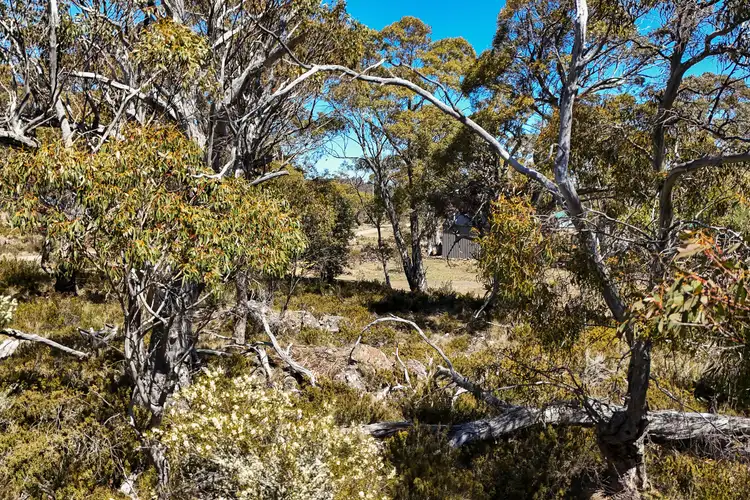 Fourth view of Homely land listing, 49 Jones Road, Miena TAS 7030