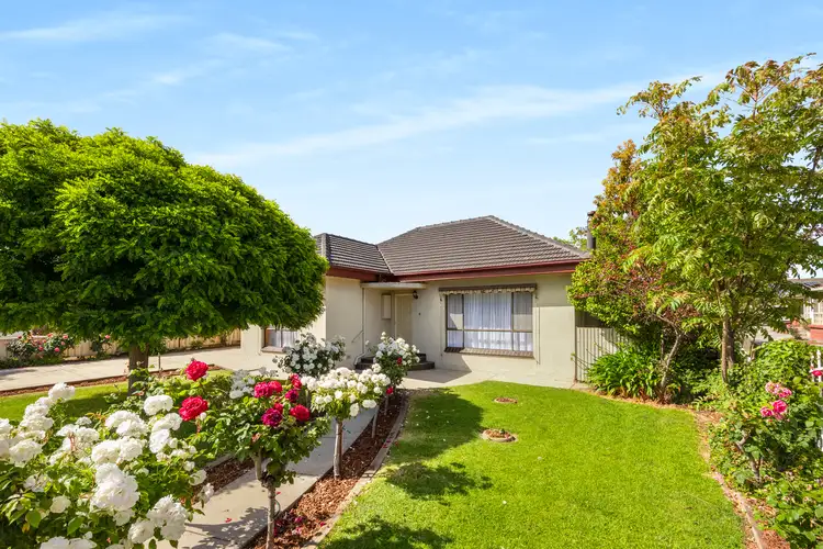 194 Commercial Street East, Mount Gambier SA 5290