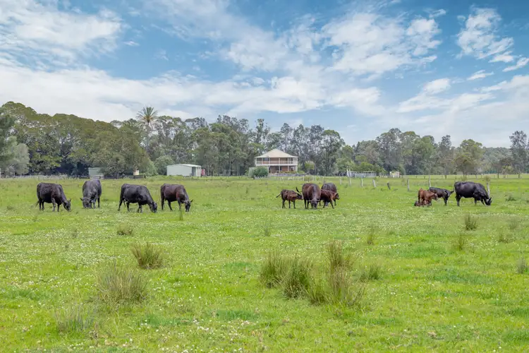 Second view of Homely house listing, 184 Scotch Creek Road, Millers Forest NSW 2324