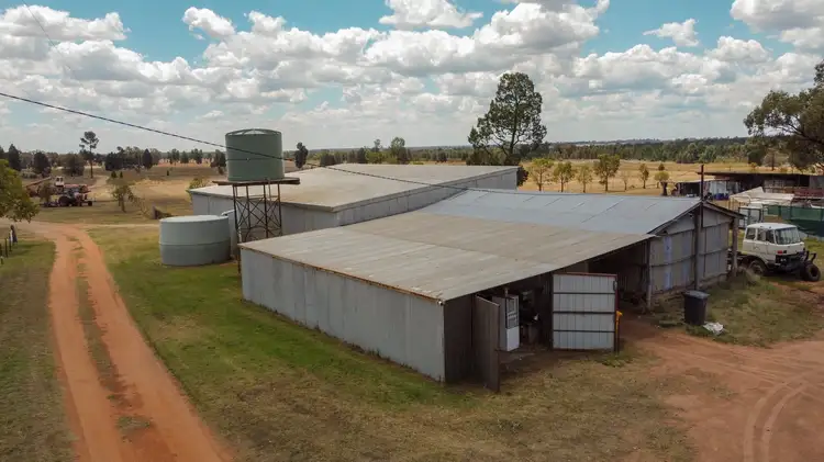Seventh view of Homely rural property listing, "Merrowen Park", 97R Minore Road, Minore NSW 2830