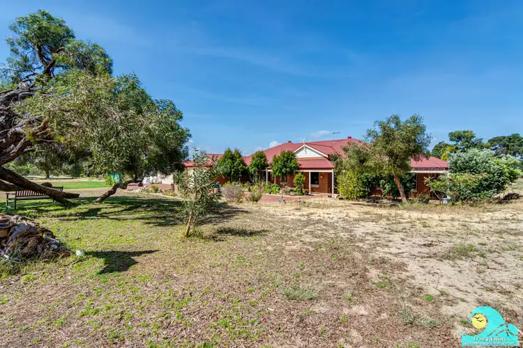 Fifth view of Homely house listing, 33 Caraway Loop, Two Rocks WA 6037
