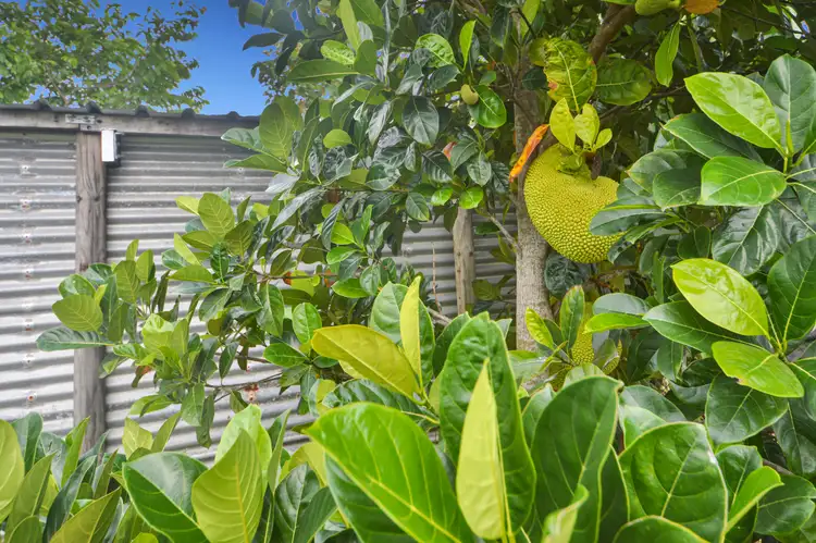 Fourth view of Homely house listing, 36 Moresby Road, Moresby QLD 4871