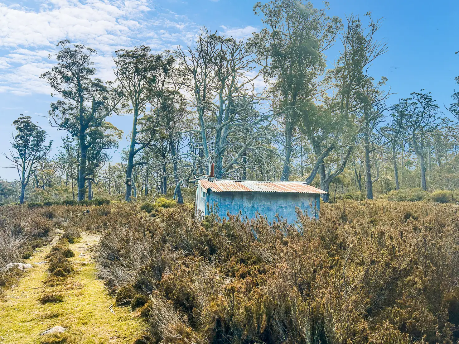 Main view of Homely land listing, 331L Arthurs Lake Road, Arthurs Lake TAS 7030