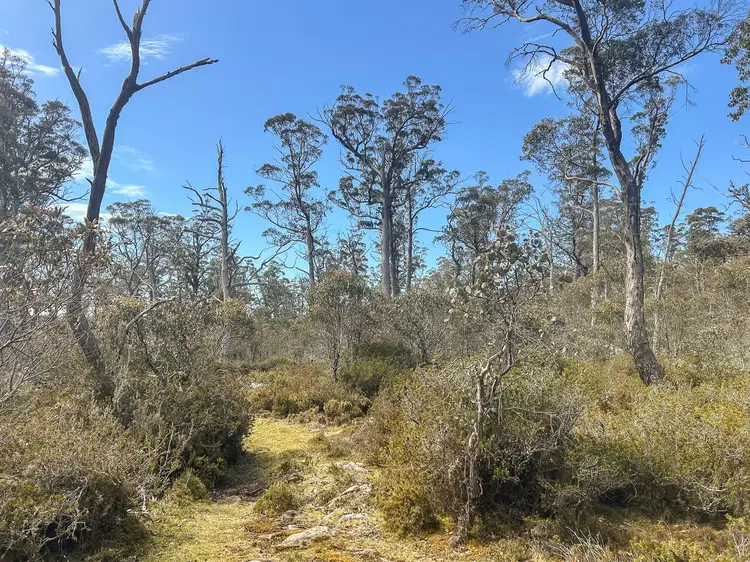 Second view of Homely land listing, 331L Arthurs Lake Road, Arthurs Lake TAS 7030