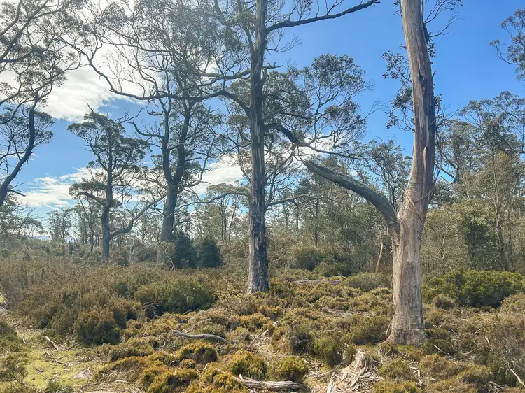 Third view of Homely land listing, 331L Arthurs Lake Road, Arthurs Lake TAS 7030