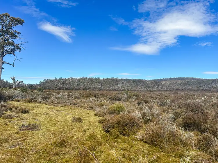 Fifth view of Homely land listing, 331L Arthurs Lake Road, Arthurs Lake TAS 7030