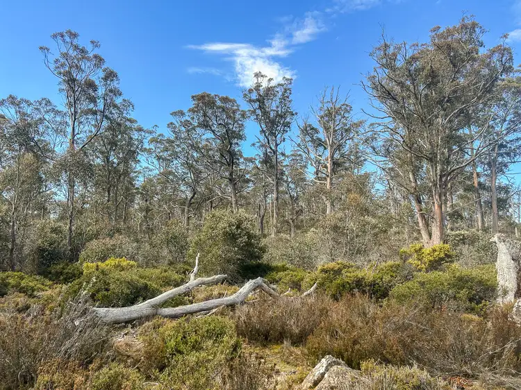 Sixth view of Homely land listing, 331L Arthurs Lake Road, Arthurs Lake TAS 7030