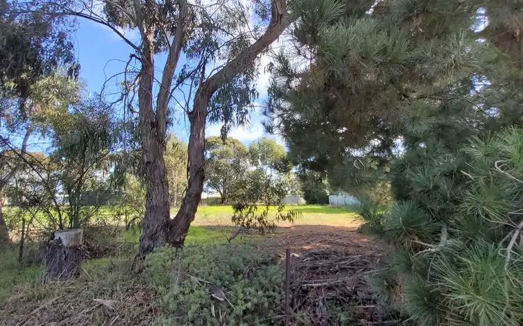 Main view of Homely land listing, 139 Third Avenue, Kendenup WA 6323