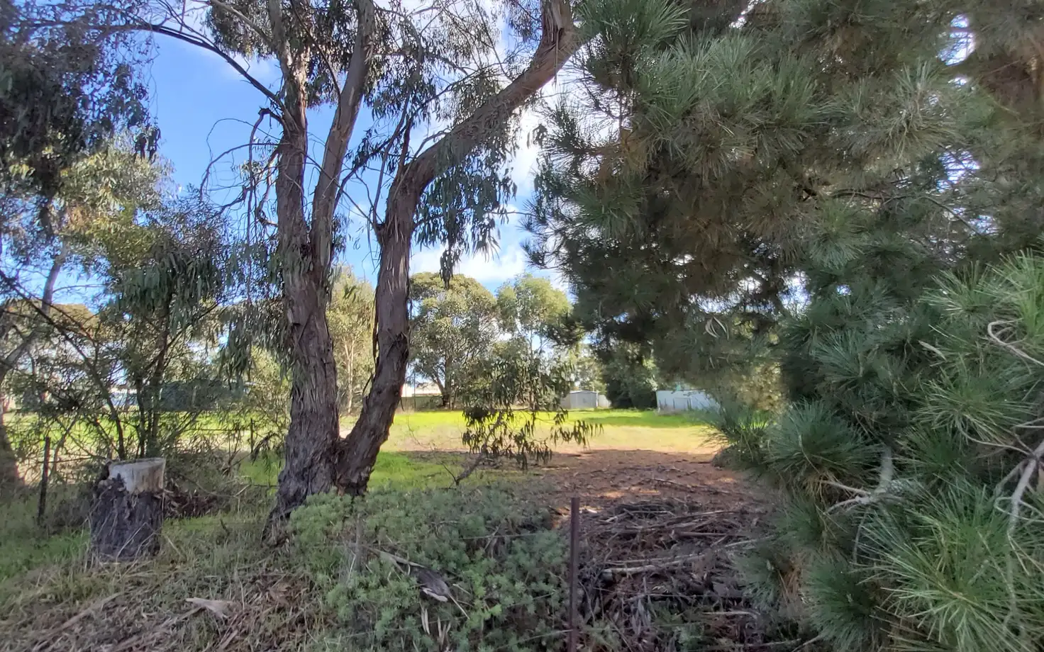 Main view of Homely land listing, 139 Third Avenue, Kendenup WA 6323