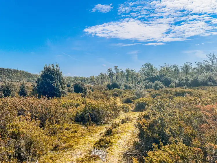 331L Arthurs Lake Road, Arthurs Lake TAS 7030