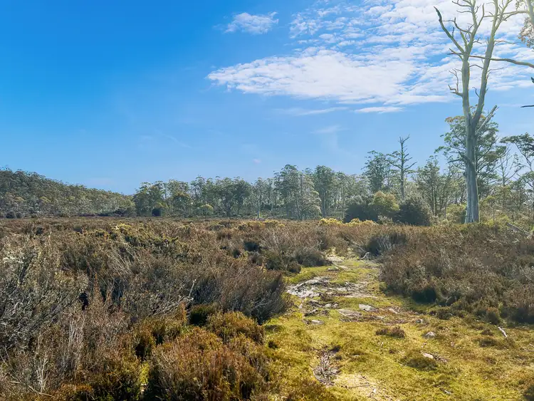 331L Arthurs Lake Road, Arthurs Lake TAS 7030