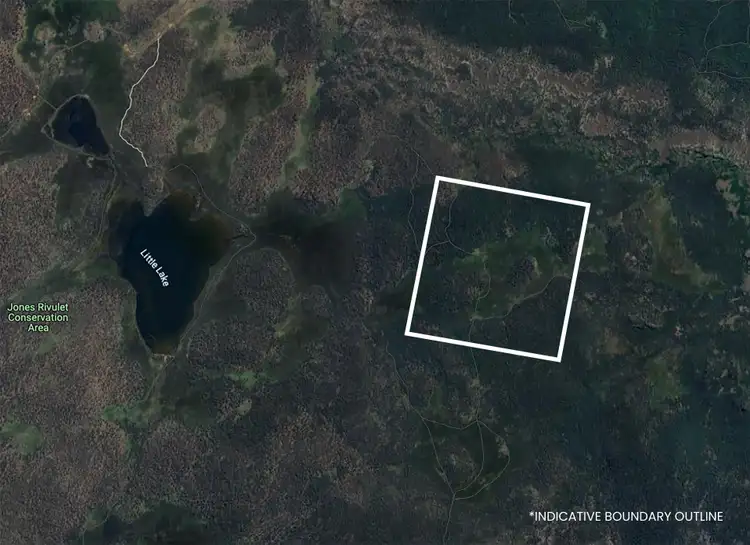 Fourth view of Homely rural property listing, 331L Arthurs Lake Road, Arthurs Lake TAS 7030