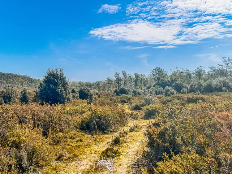 Fourth view of Homely rural property listing, 331L Arthurs Lake Road, Arthurs Lake TAS 7030
