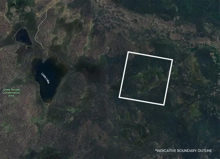 Sixth view of Homely rural property listing, 331L Arthurs Lake Road, Arthurs Lake TAS 7030