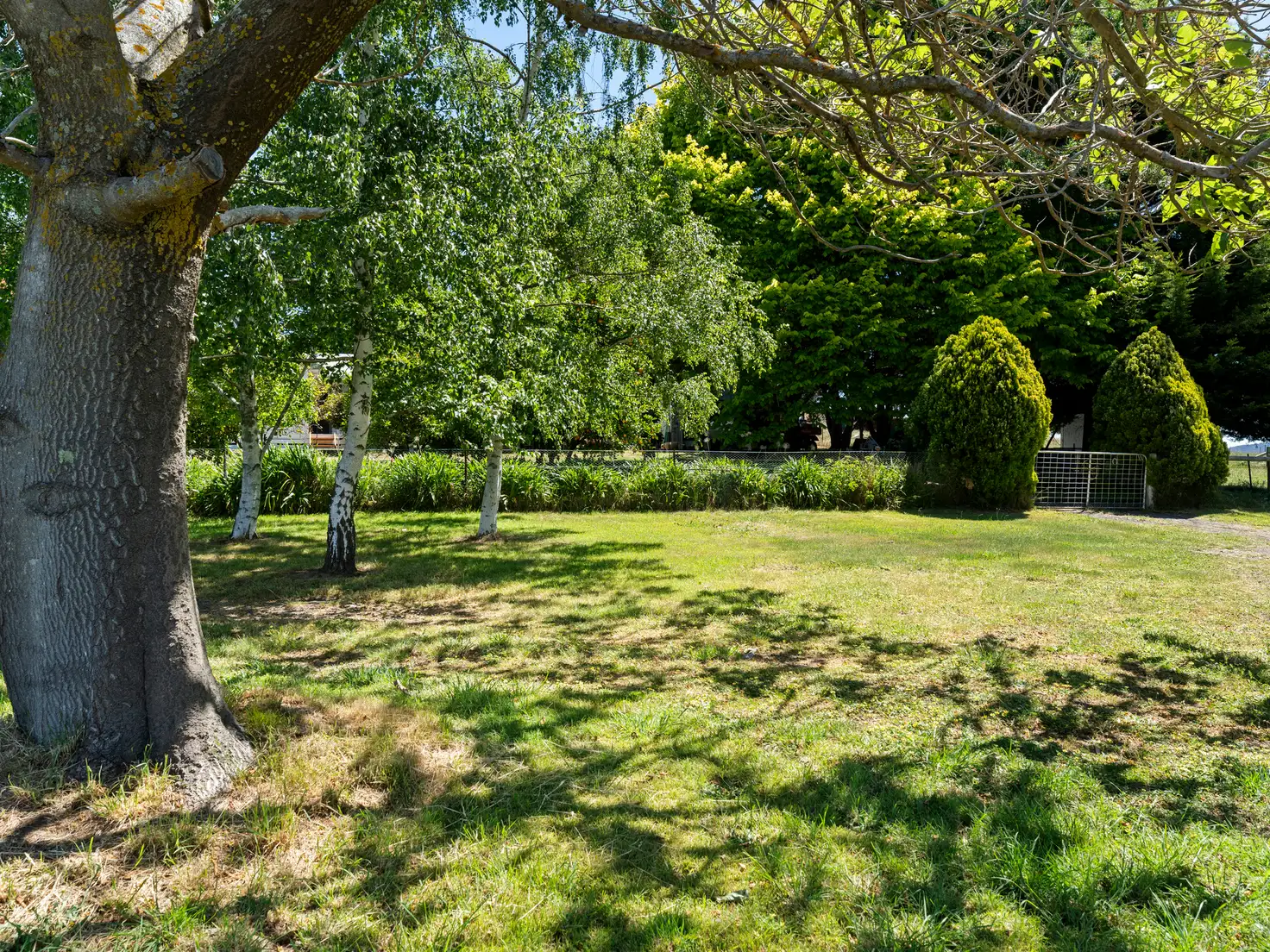 Main view of Homely rural property listing, 1491 Merton Strathbogie Road, Strathbogie VIC 3666