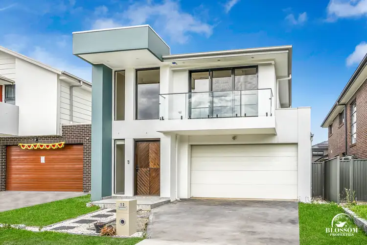 12 Potoroo Street