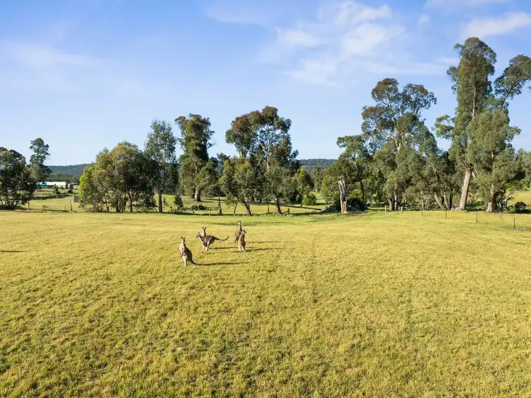 Third view of Homely land listing, Lot 2 Wombat Lane, Tolmie VIC 3723