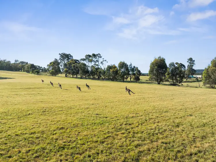 Fourth view of Homely land listing, Lot 2 Wombat Lane, Tolmie VIC 3723