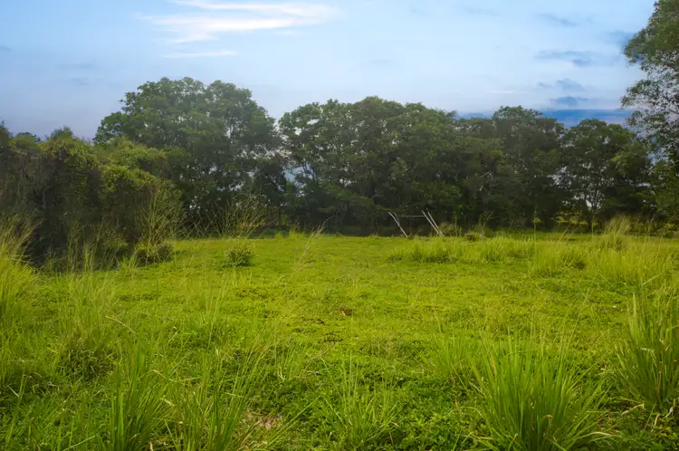 Second view of Homely land listing, 48 Hill End Road, Lower Cowley QLD 4871