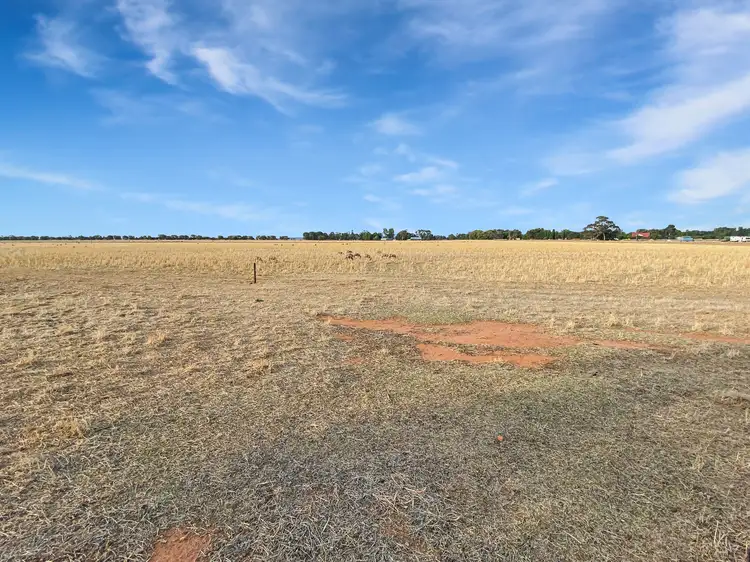 Second view of Homely land listing, 1845 Lonnie Road, Leeton NSW 2705