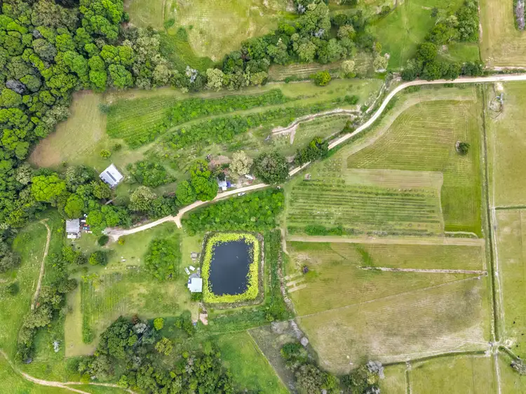 Fourth view of Homely rural property listing, 16 Sartories Road, Pimlico NSW 2478