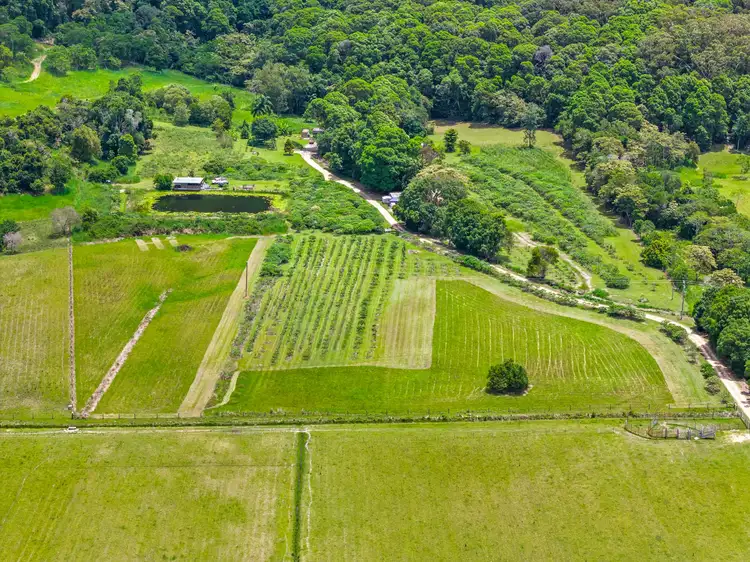 Fifth view of Homely rural property listing, 16 Sartories Road, Pimlico NSW 2478