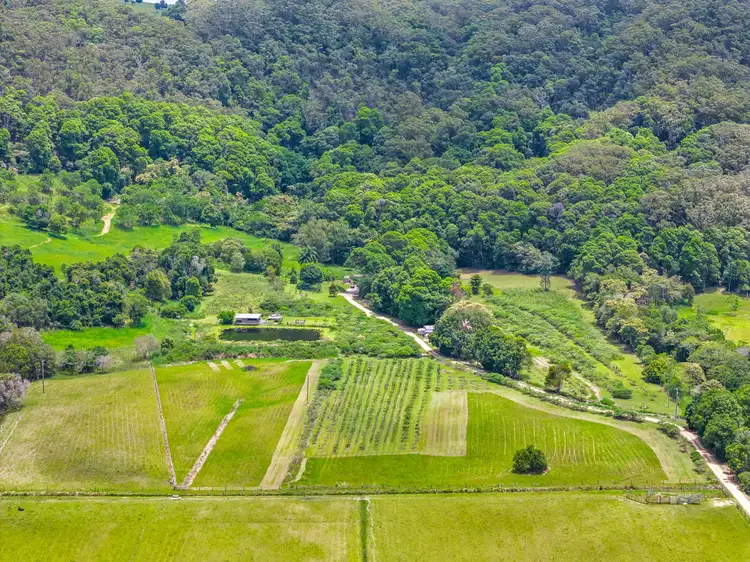Sixth view of Homely rural property listing, 16 Sartories Road, Pimlico NSW 2478