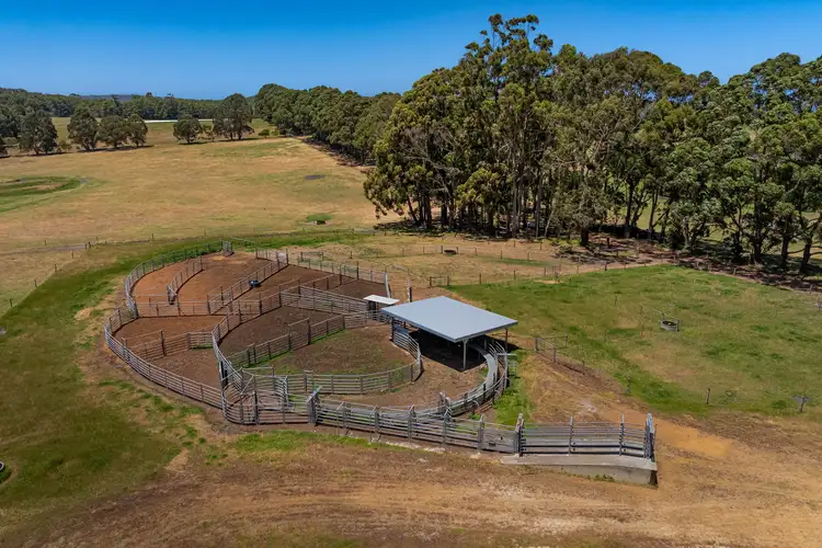 Sixth view of Homely rural property listing, 203 Clarke Road, North Walpole WA 6398