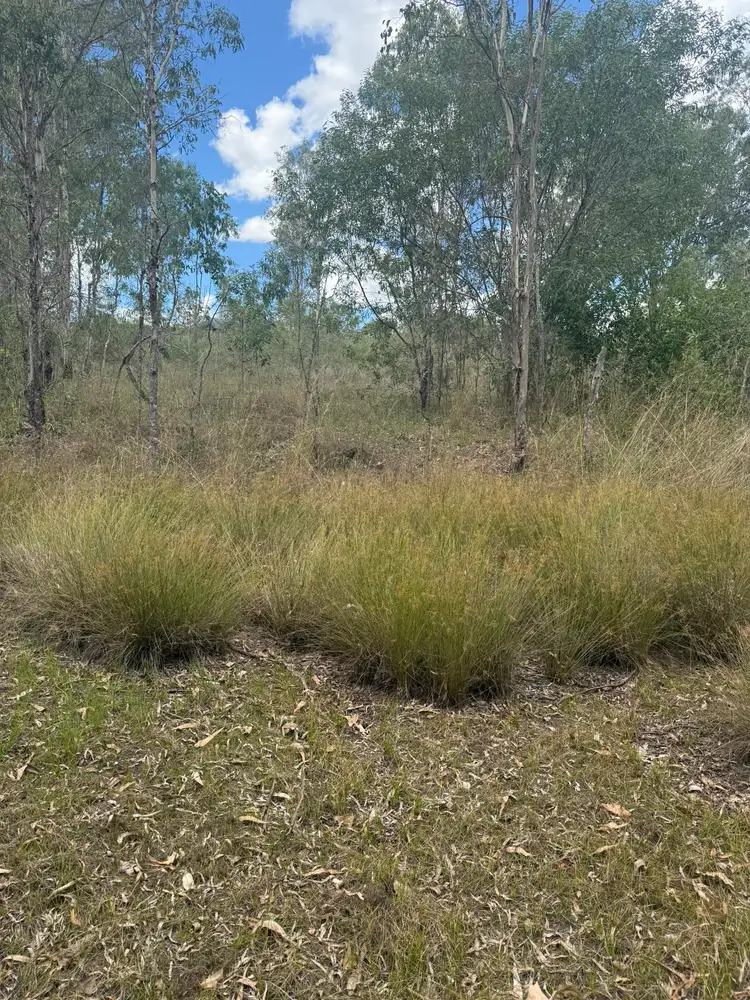 Fifth view of Homely land listing, LOT 618 Dickson Street, Mount Perry QLD 4671