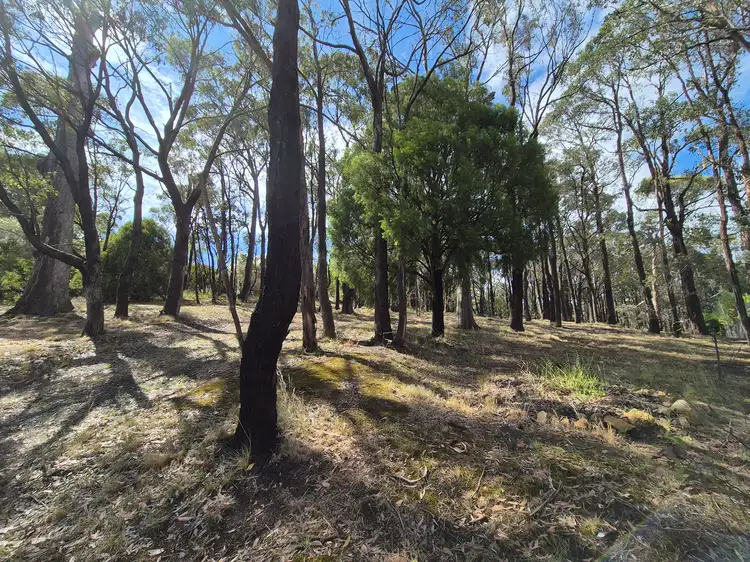 Fourth view of Homely land listing, LOT 62 Dales Creek Avenue, Dales Creek VIC 3341