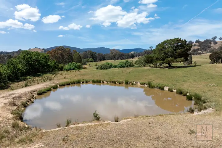 Sixth view of Homely land listing, 'Dalhaven', 98 Hells Hole Creek Road, Bonnie Doon VIC 3720