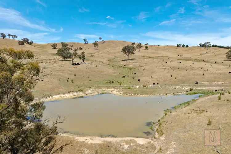 Seventh view of Homely land listing, 'Dalhaven', 98 Hells Hole Creek Road, Bonnie Doon VIC 3720