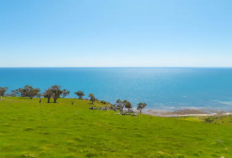 Seventh view of Homely rural property listing, Lots 23 & 24 Main South Road, Normanville SA 5204