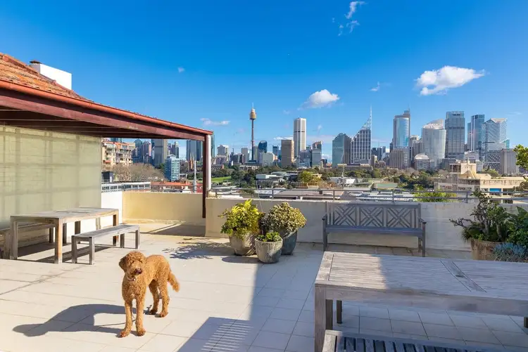Main view of Homely apartment listing, 21/10A Challis Avenue, Potts Point NSW 2011