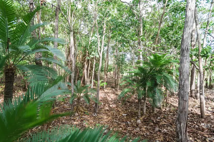 Second view of Homely land listing, 56 Dowling Rd, Virginia NT 834