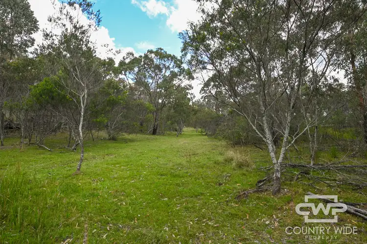 Third view of Homely rural property listing, 2361 Torrington Road, Torrington NSW 2371